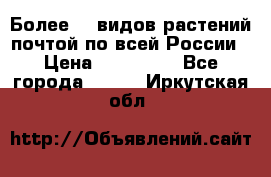 Более200 видов растений почтой по всей России › Цена ­ 100-500 - Все города  »    . Иркутская обл.